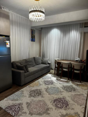 Cop 29 Baku Azerbaijan Home MDV